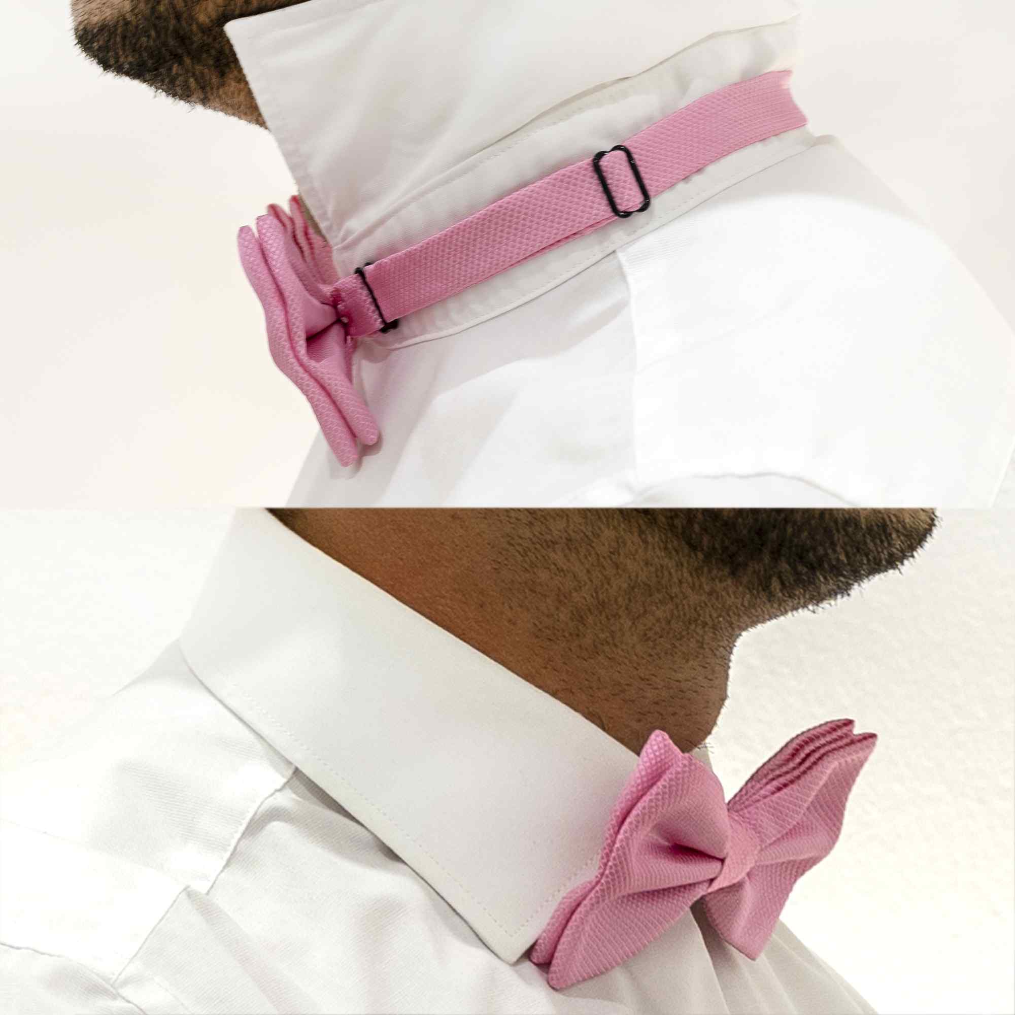 Pajarita moderna rosa preatada - imagen 7